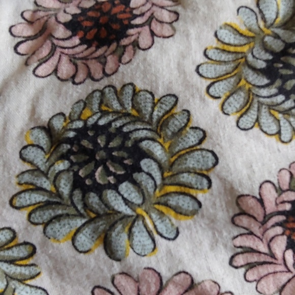 Shorts! - Picture 7 of 7